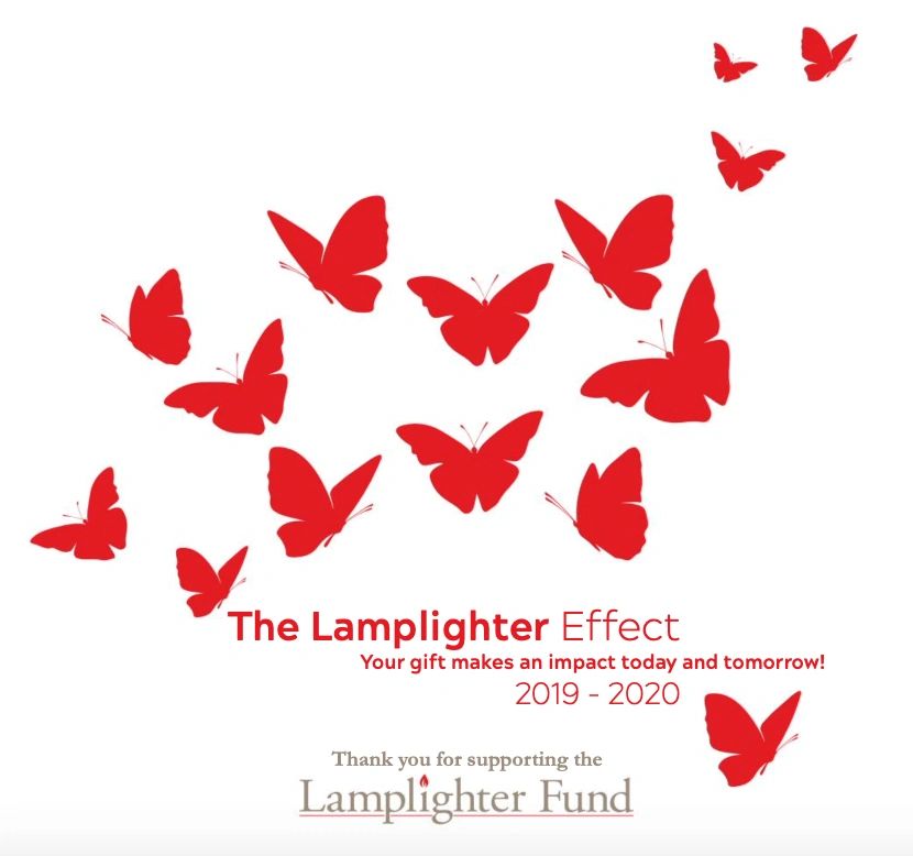 The Lamplighter Effect annual-fund stewardship piece.